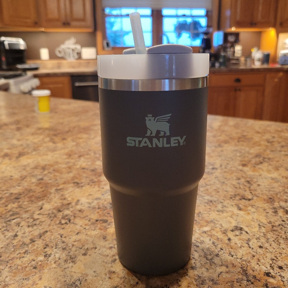 20 oz Stanley Quencher H2.0 FlowState Tumbler
